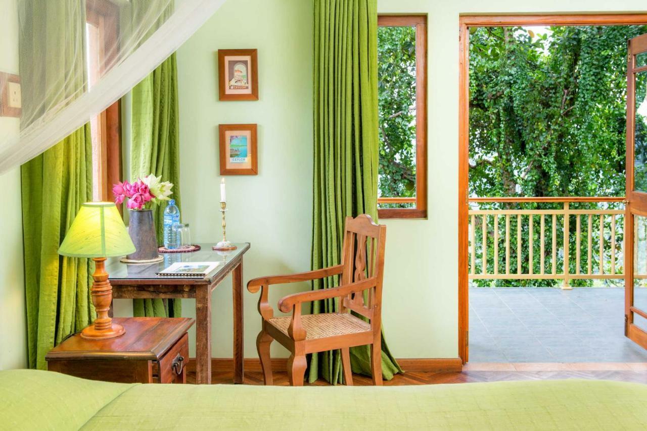קנדי Villa Rosa מראה חיצוני תמונה
